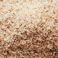 Bacillus Coagulans