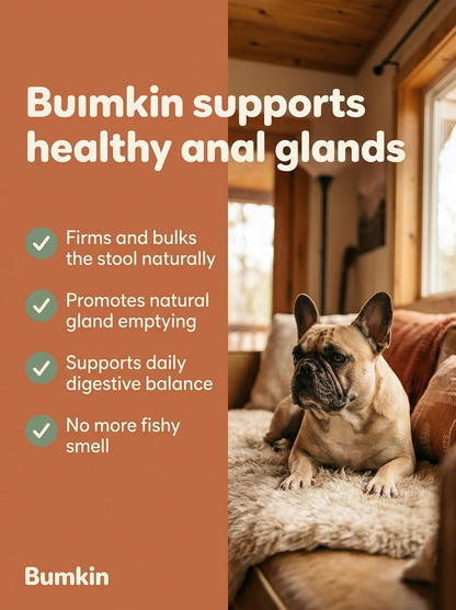 Bumkin® Anal Gland Support Chews